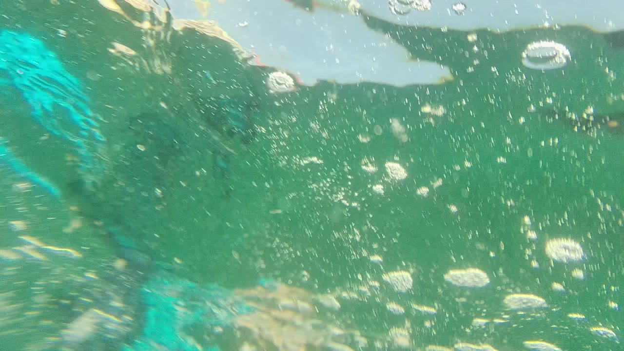In Cabo Pulmo, Mexico, a bright fin crosses the midframe while bubbles and surface reflections fill the surrounding green-blue water.