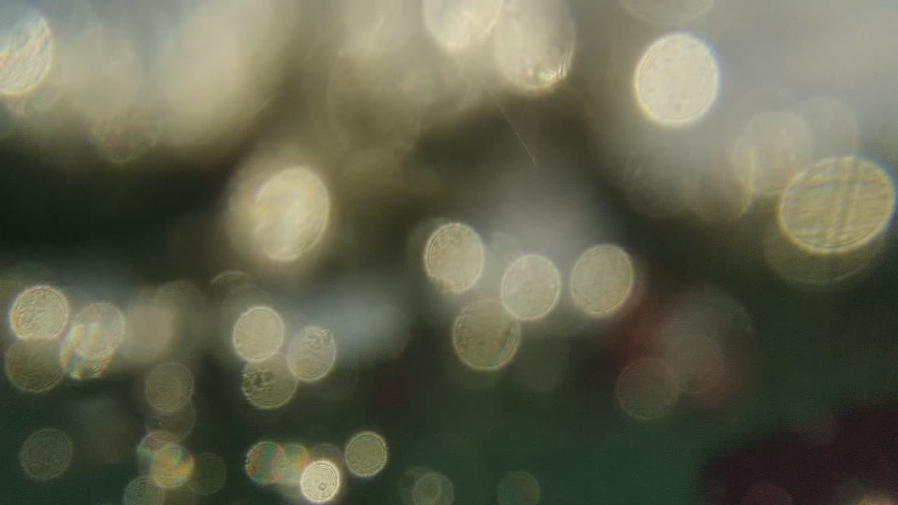 Soft Cabo Pulmo underwater frame with out-of-focus scuba equipment, bubbles, and circular light reflections against green water.