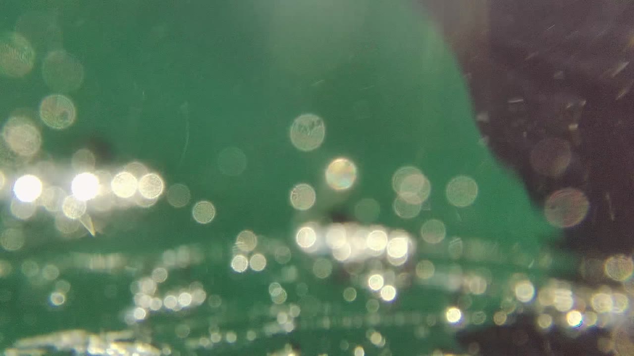 Green underwater view in Cabo Pulmo with clusters of bright surface reflections, soft bokeh, a dark edge shape at right, and no visible people.