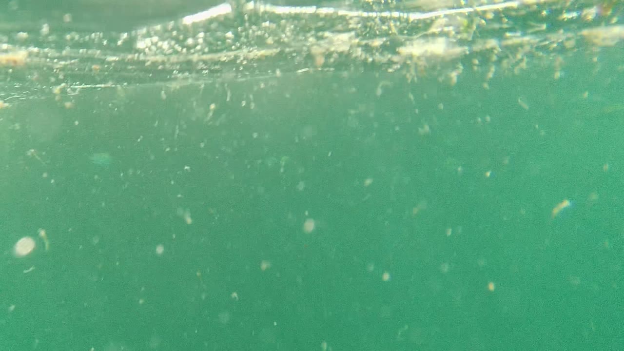 At 0:01 in Cabo Pulmo, Baja California Sur, the diver has moved out of frame and the view holds on green water, a rippled surface line, bubbles, and suspended debris with no visible people.