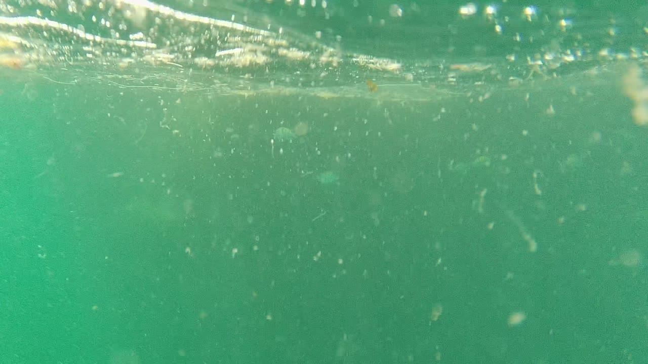 At 0:02 in Cabo Pulmo, Baja California Sur, the upper surface band remains bright while the water below is murky green with scattered bubbles and particles and no visible people.