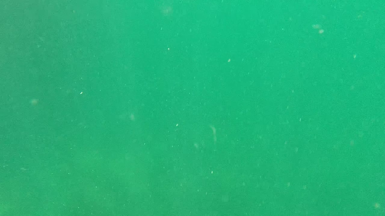 Green water with faint particles underwater
