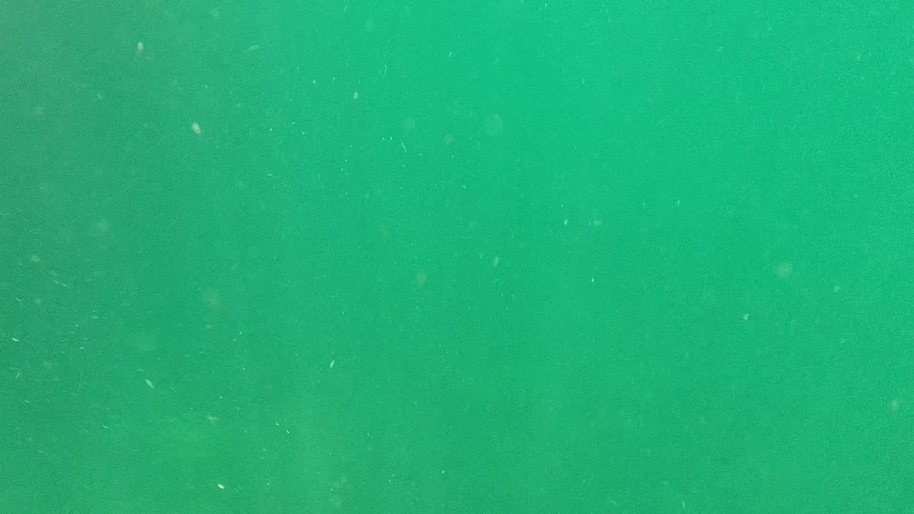 Cabo Pulmo underwater view with suspended particles and a faint yellowish fish shape near the upper edge, with no visible people.