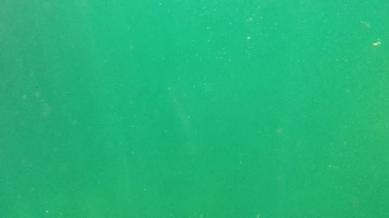 Green turbid underwater view in Cabo Pulmo, Baja California Sur, Mexico, with fine suspended particles and no visible people.