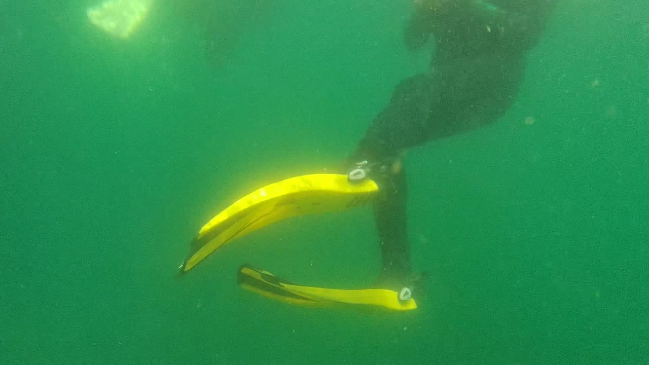 At 0:00 in Cabo Pulmo, Baja California Sur, yellow flippers and dark-suited lower legs pass through green underwater haze with no visible face.
