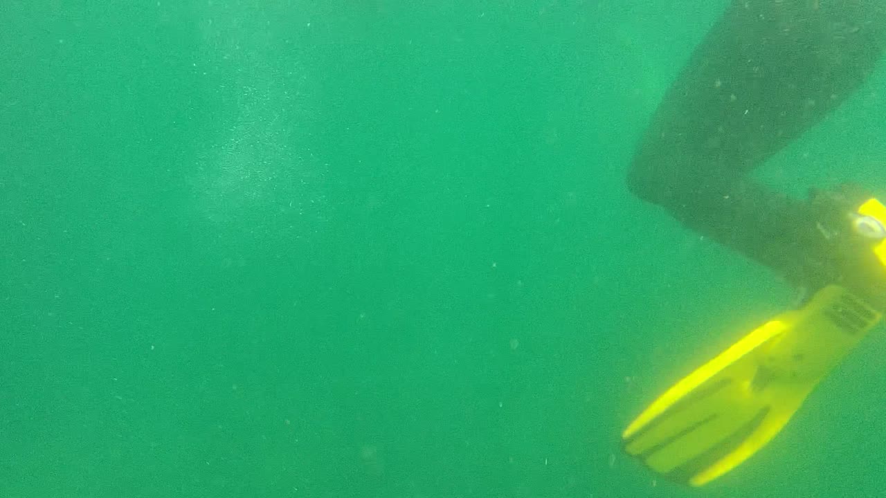 At 0:02 in Cabo Pulmo, Baja California Sur, the swimmer's yellow flippers move toward the right edge while the lower body is cropped by the frame and no face is visible.