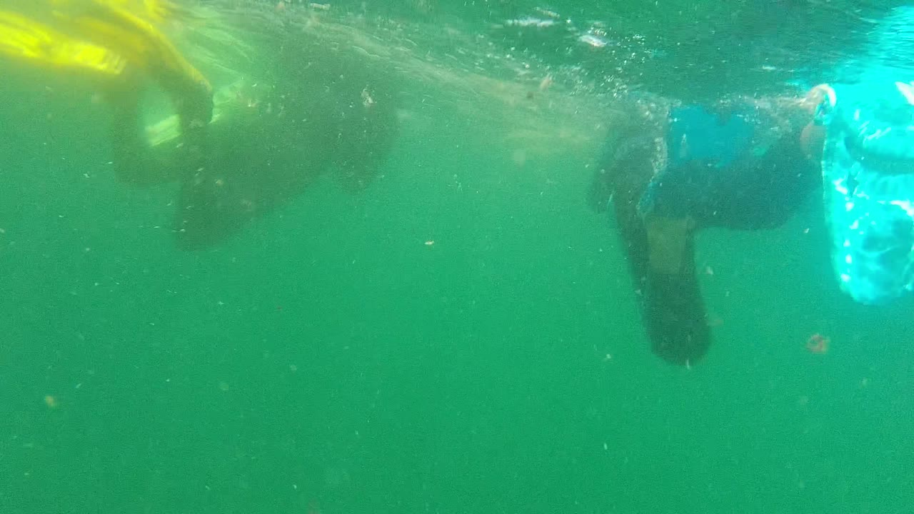 At 0:02 in Cabo Pulmo, Baja California Sur, swimmers pass across the upper frame with a blue fin on the right and wavering light along the water surface.