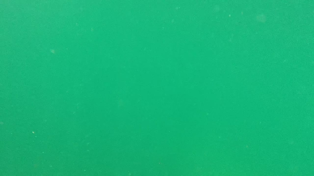 Green water column in Cabo Pulmo with subtle suspended specks, diffuse light, and no visible people or identifiable subjects.