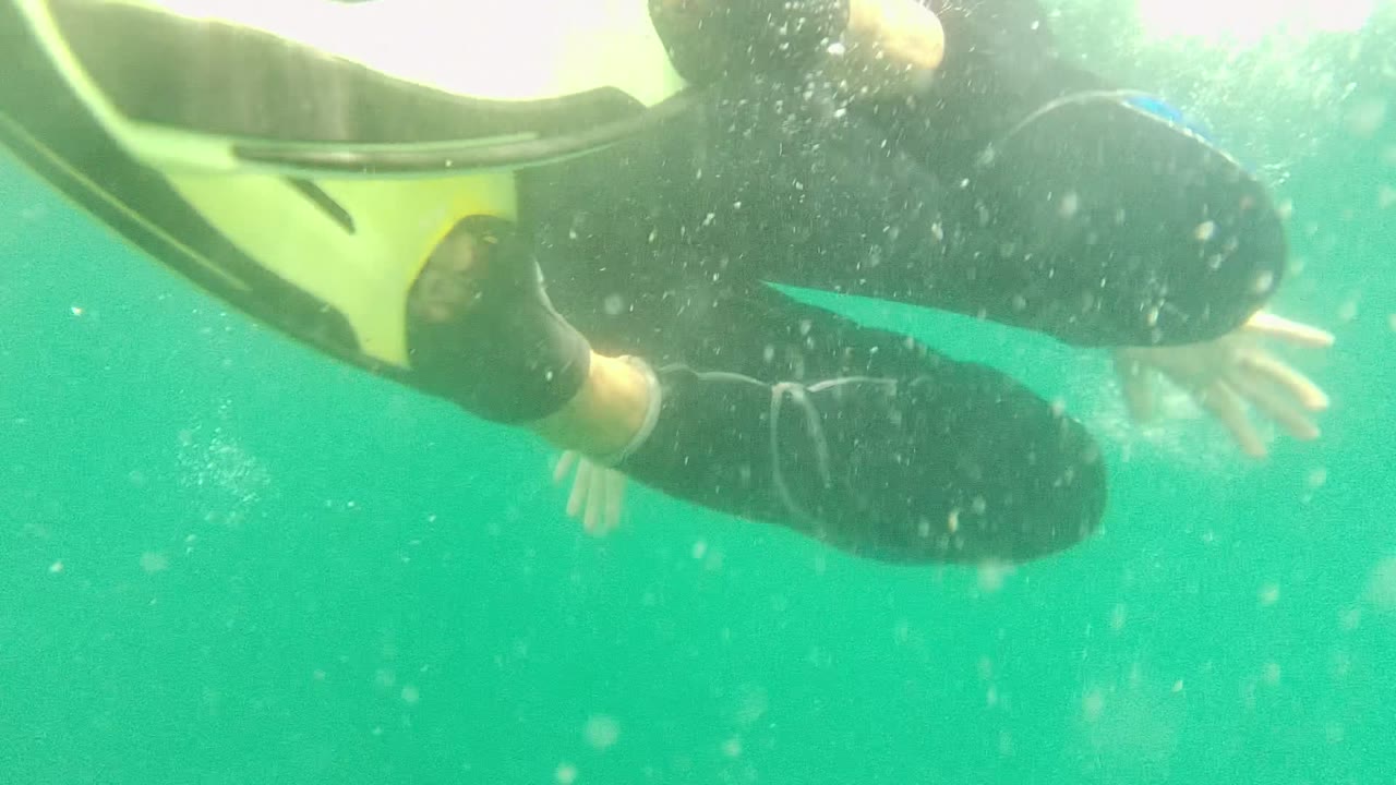 Diver with yellow fin swims near the surface underwater.
