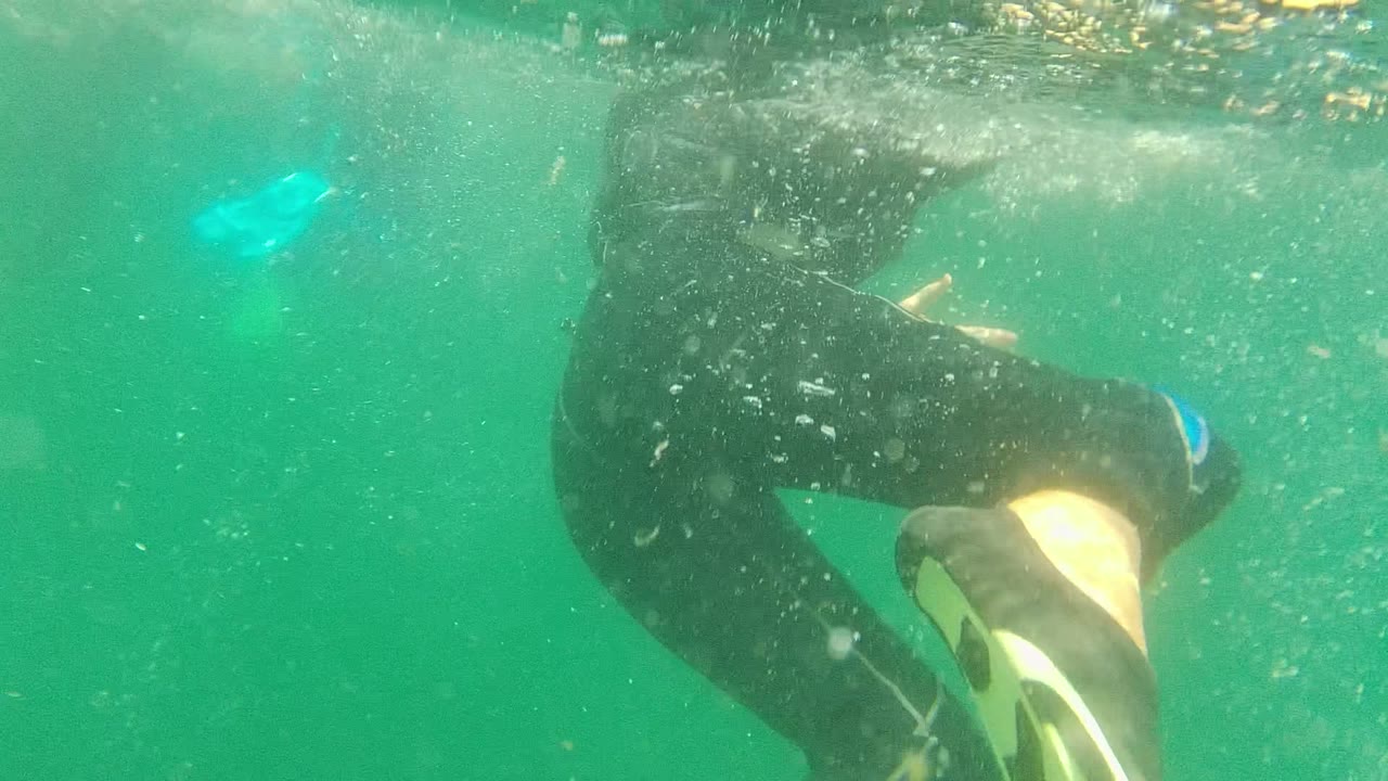 At 0:02 in Cabo Pulmo, multiple cropped divers in black wetsuits swim through green water, with a yellow fin near the right edge and bubbles near the surface.