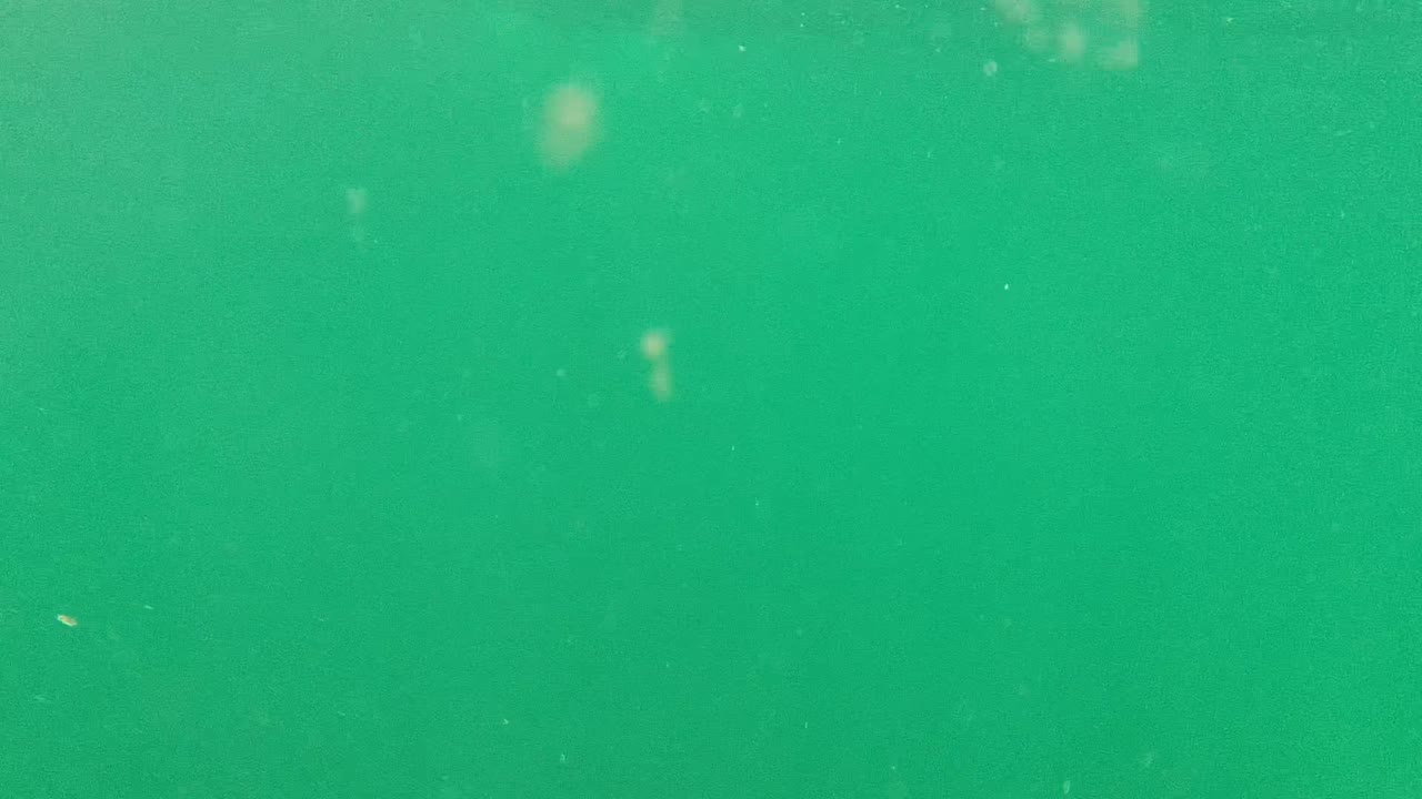 Green underwater field with fewer bubbles and soft particles.