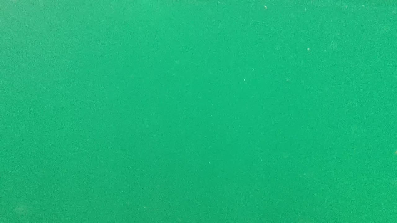 Submerged Cabo Pulmo view showing clear turquoise water, scattered tiny particles, subtle light variation, and no visible people or objects.
