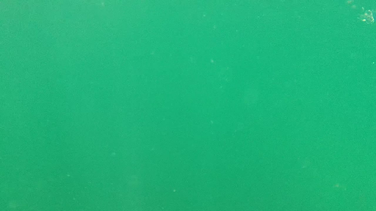 Uniform turquoise-green underwater view with light haze.