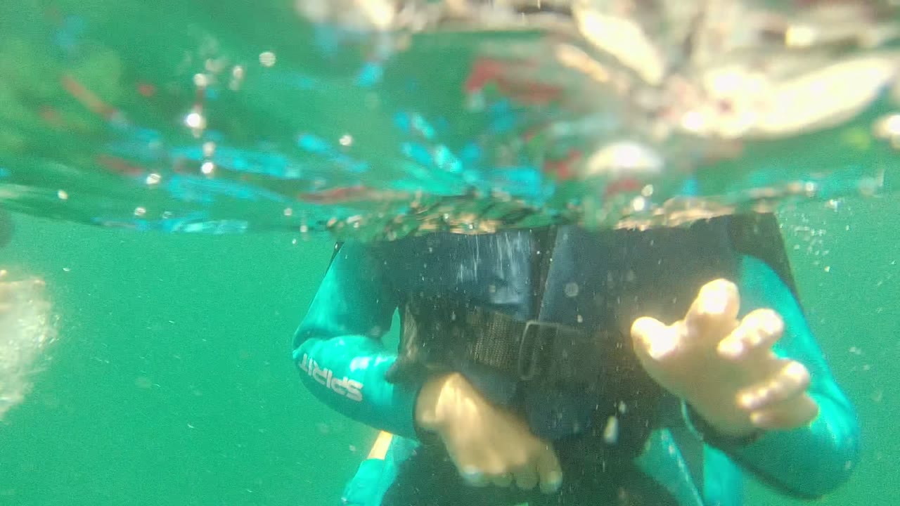 Underwater view in Cabo Pulmo with a snorkeler in a blue wetsuit below the surface, hands visible near the body and bubbles in green water.