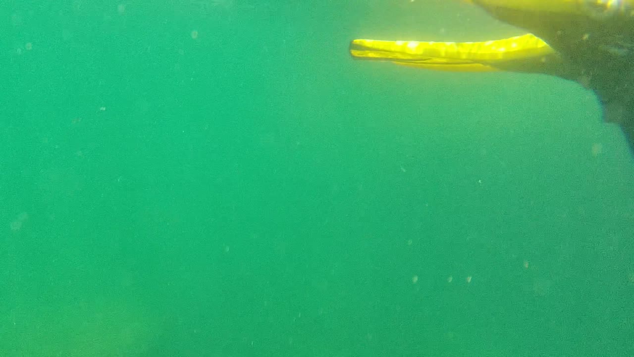 Yellow boat edge above green water