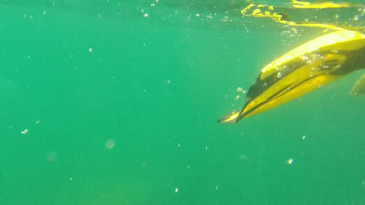 Cabo Pulmo underwater view with the yellow boat underside cropped at the upper right, green water filling the frame, small bubbles, and no recognizable people.