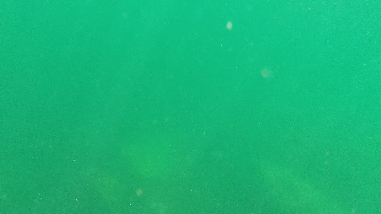 Opening underwater frame from Cabo Pulmo, Baja California Sur, showing green water with floating particles and faint rocky forms below, with no visible people.