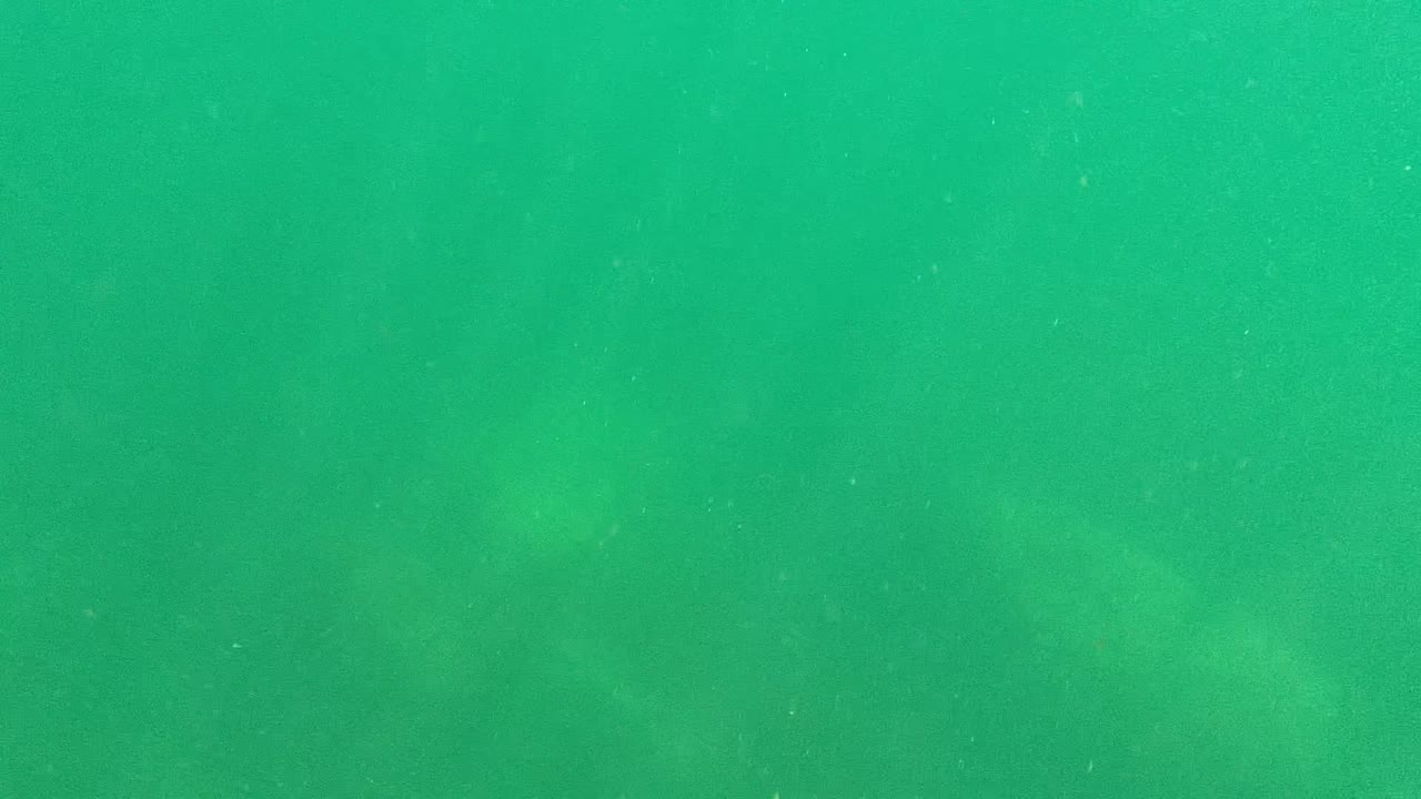 Green water column with particles and blurred rock texture below.