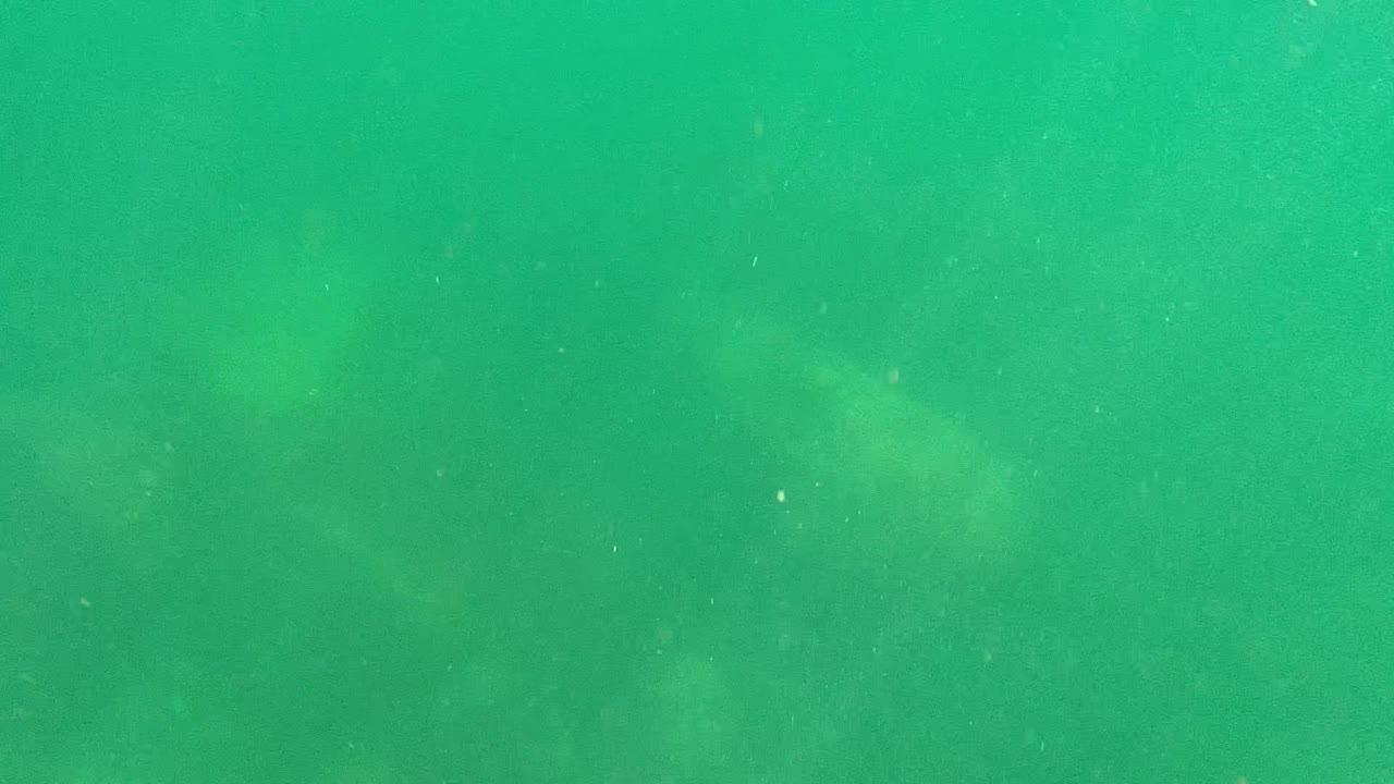 Underwater Cabo Pulmo view with green water, drifting particles, and pale algae-covered rocky seabed beginning to register more clearly along the bottom, with no visible people.