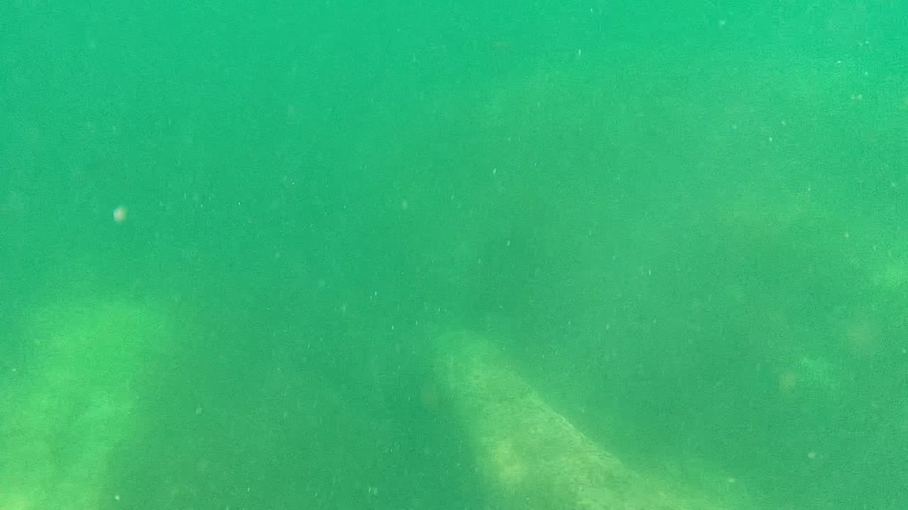 Opening underwater frame from Cabo Pulmo, Mexico, showing green water, suspended particles, faint rock shapes below, and no visible people.