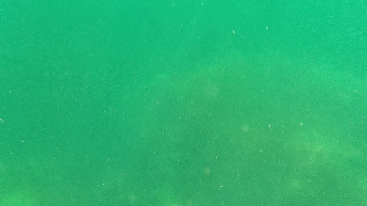 Underwater Cabo Pulmo frame showing a green color cast, scattered particulate matter, low-contrast seabed contours, and no visible people.