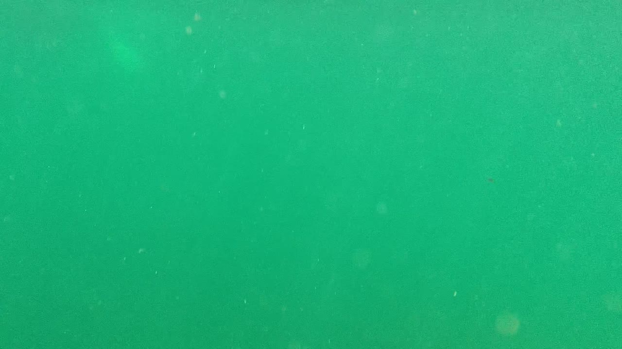 Green underwater field with fine floating particles and faint bubbles.