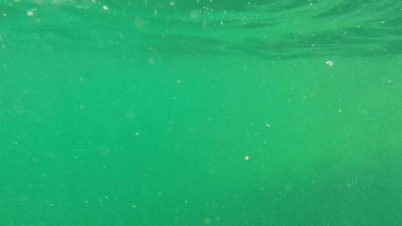 Green underwater view in Cabo Pulmo with small suspended bubbles, soft surface light, and no clearly visible swimmer in this opening moment.