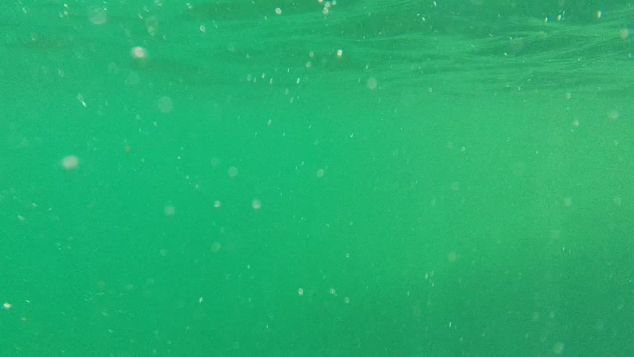Cabo Pulmo underwater frame with diffuse green water, scattered bubbles, and a faint brighter area near the surface with no clear face or logo visible.