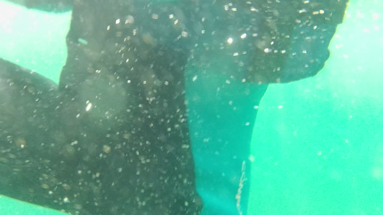 Swimmer torso and arm underwater with bubbles around the lens