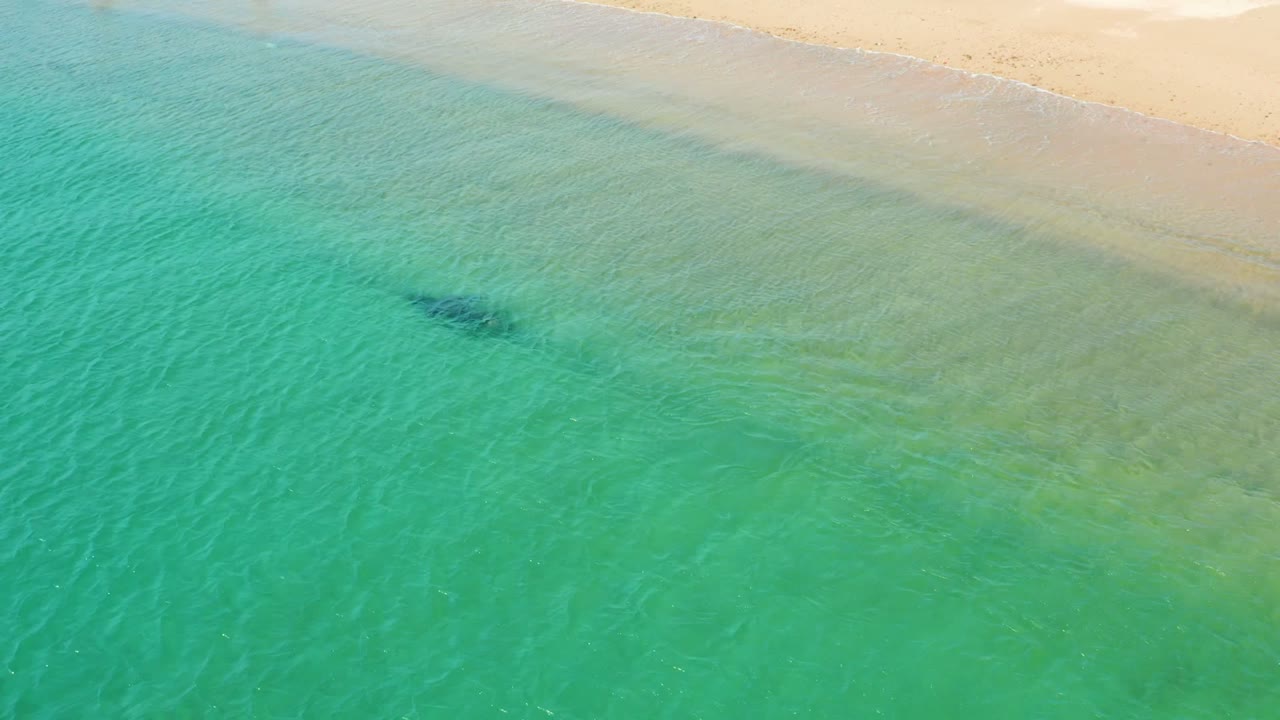 At Los Frailes, Los Cabos, a dark whale shape is visible below clear turquoise water near pale sand at the top of the frame, with no visible people.