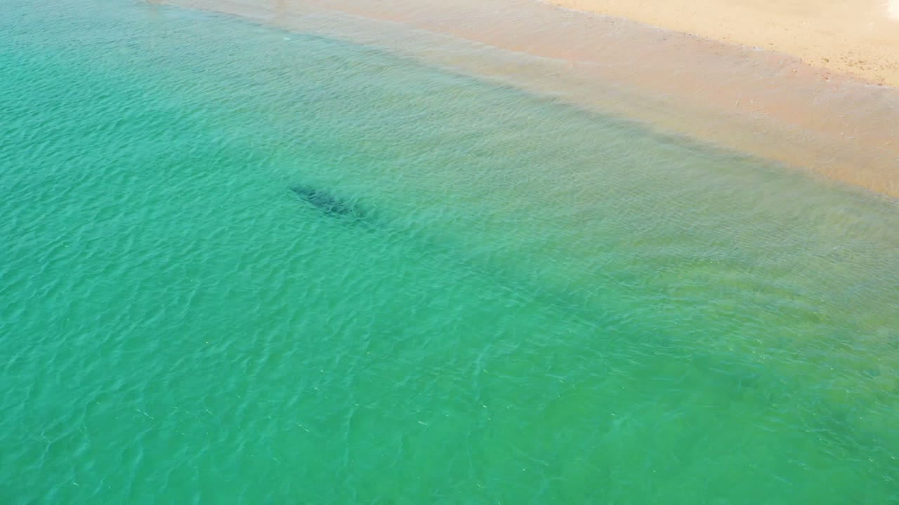 A dark whale form sits farther from the visible sand band at Los Frailes, surrounded by rippled turquoise water and pale shallows, with no visible people.