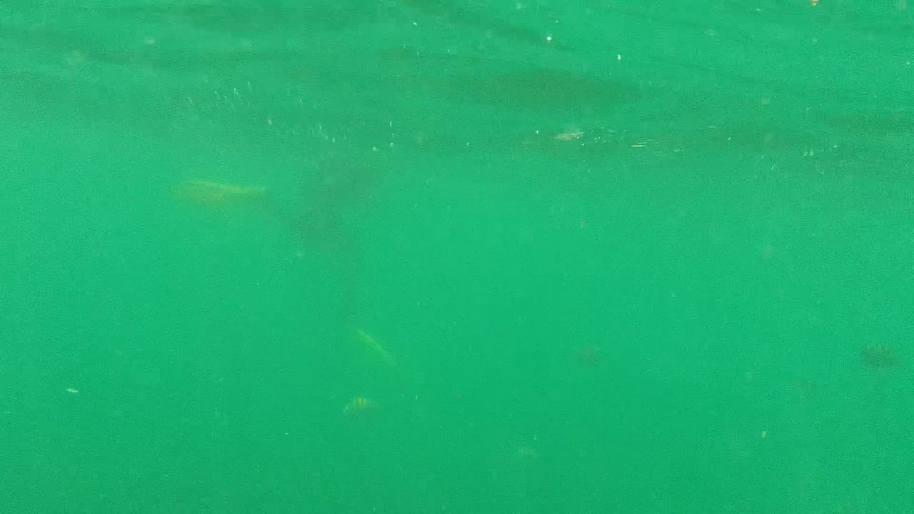 Green underwater water with faint shapes and particles.