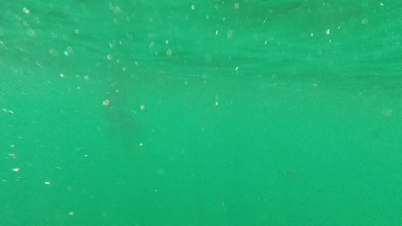 Green underwater frame from Cabo Pulmo, Baja California Sur, with fine particles in the water, diffuse light, and no visible people.