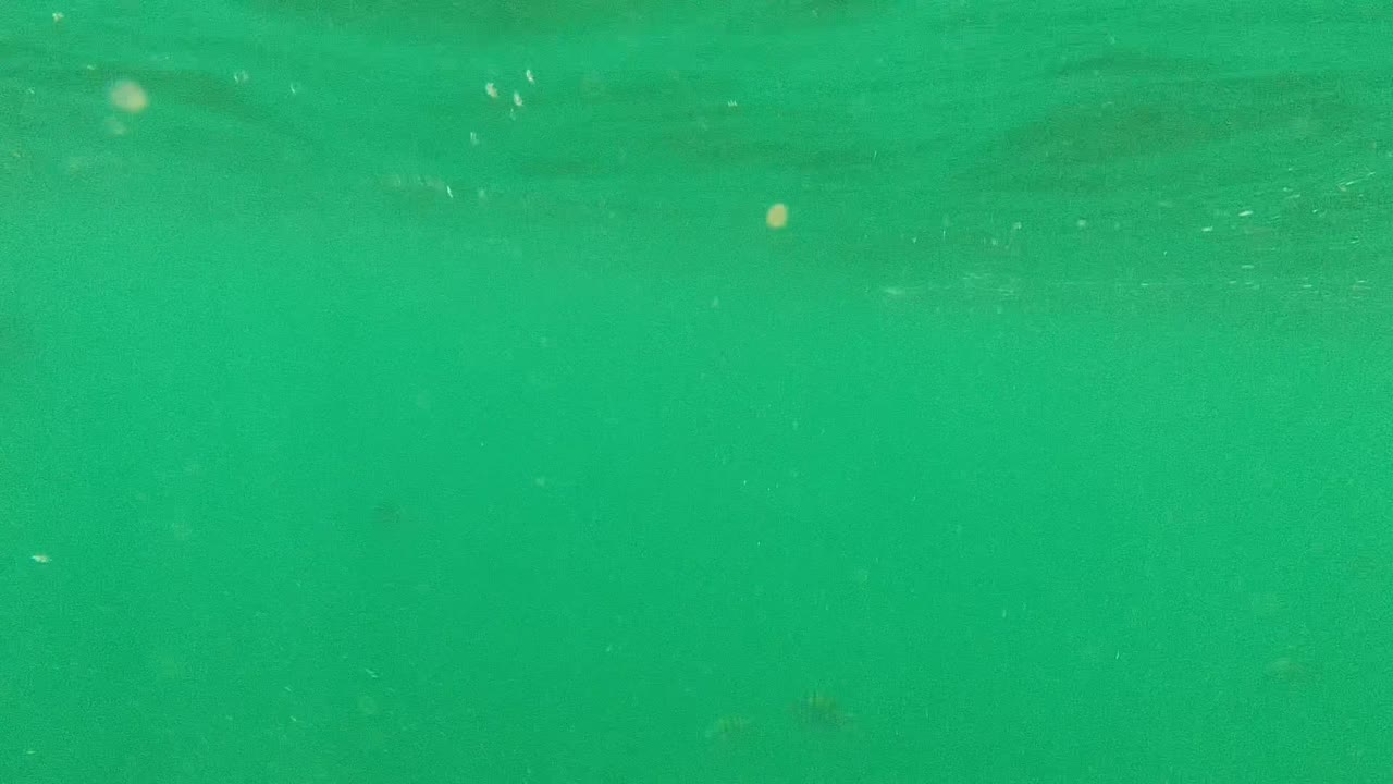 Murky green sea water with bubbles and a faint horizontal surface band.