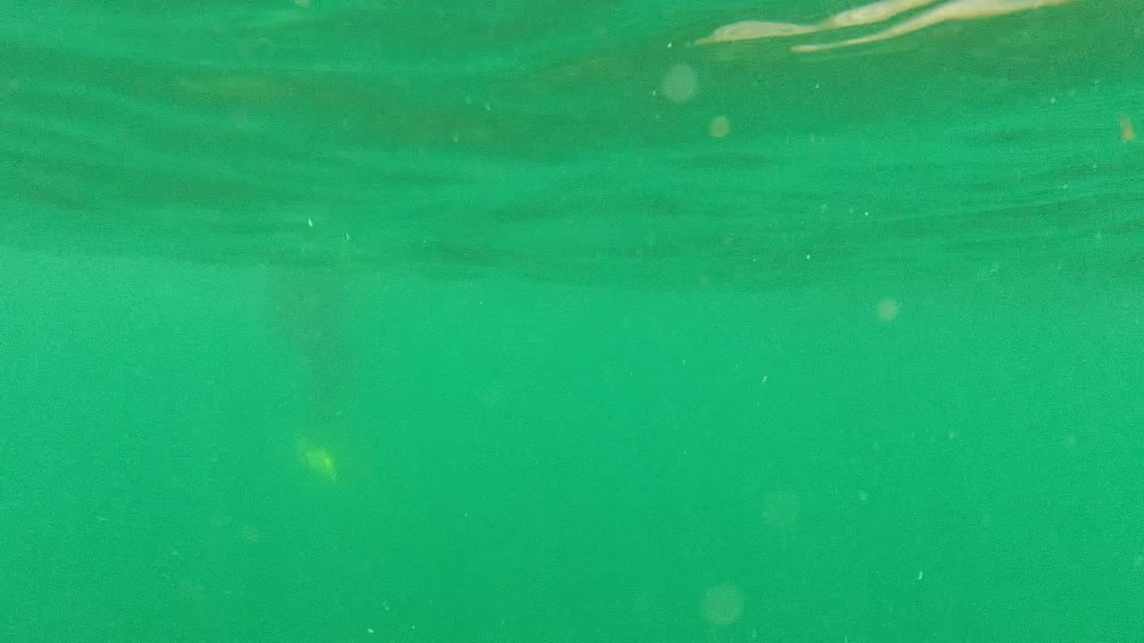 Green ocean water with surface shimmer and small bubbles