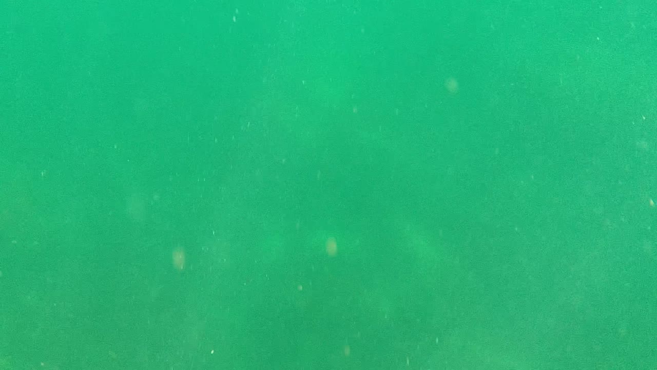 Green water with fine particles and faint depth variation