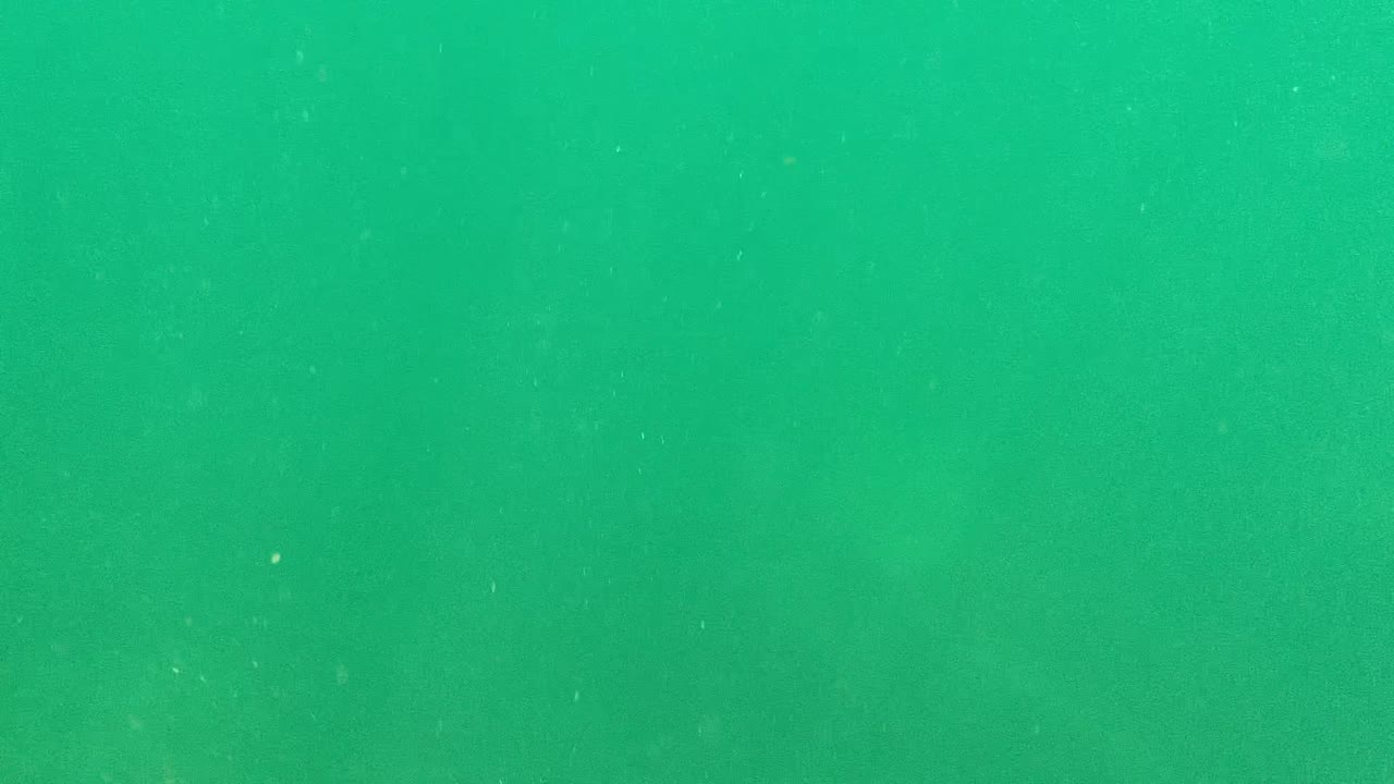 Cabo Pulmo underwater view as the rippled surface line begins to enter the upper portion of the green frame, with no visible people.