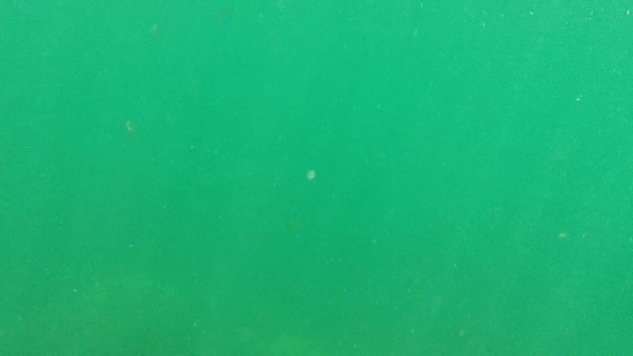 Clear green water with faint submerged forms