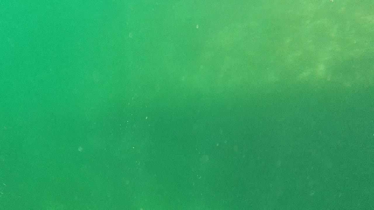 Green underwater water column in Cabo Pulmo, Baja California Sur, with faint suspended particles, soft surface light near the top, and no visible people.