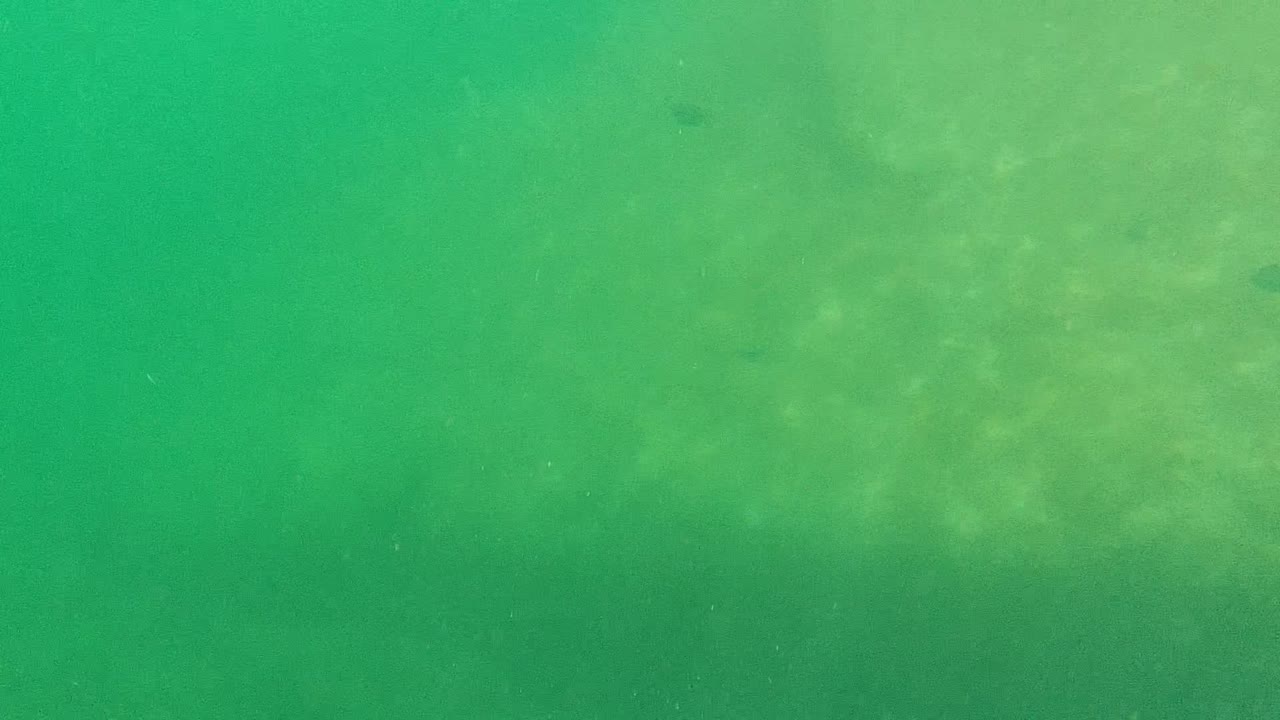 Opening underwater frame from Cabo Pulmo, Baja California Sur, Mexico, showing green water, faint sandy seabed texture, drifting particles, and no visible people.