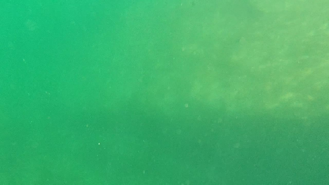 Cabo Pulmo underwater frame showing green water, diffuse silt across the upper right, faint sandy bottom, floating particles, and no visible people.