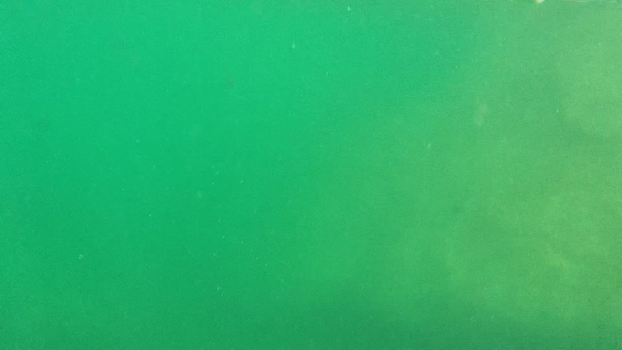 Shallow green water with pale seabed and a small fish shape