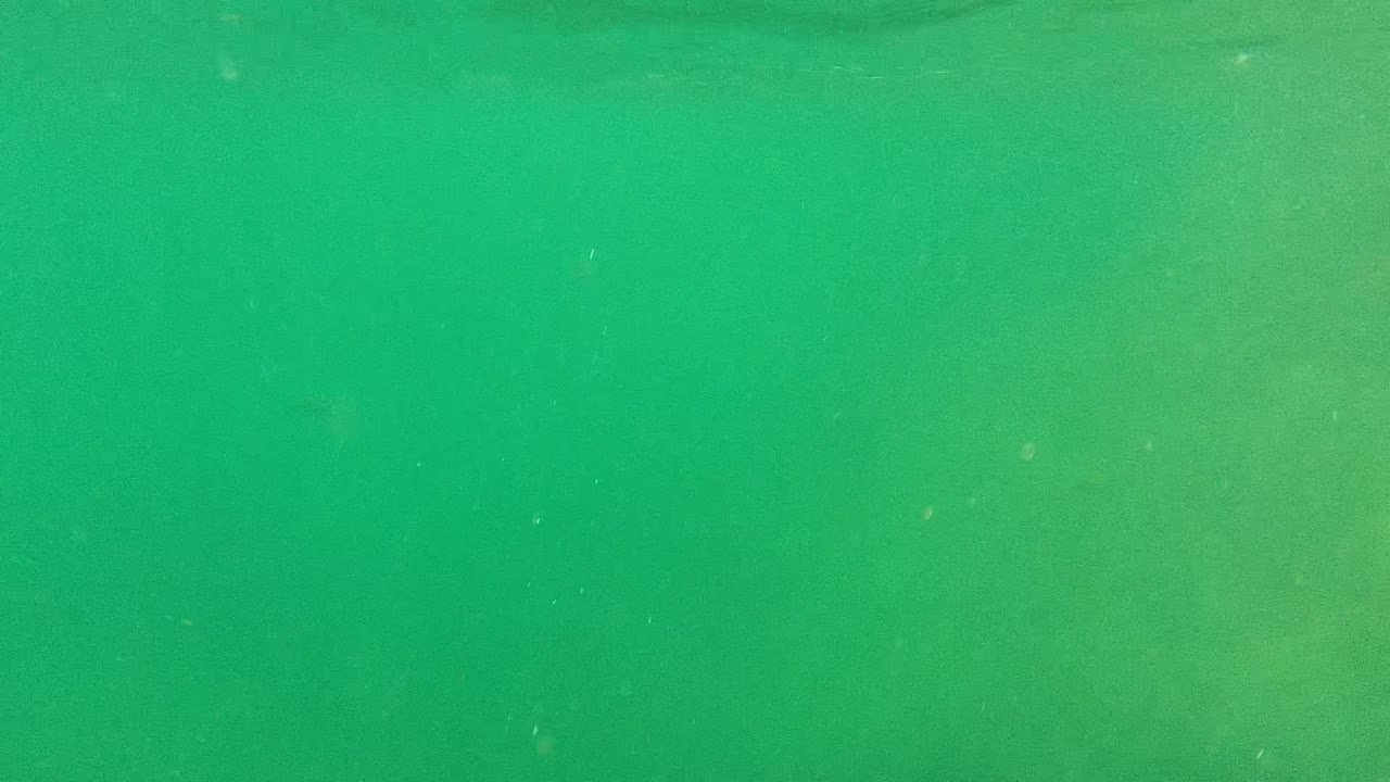 Cabo Pulmo underwater frame with cloudy green light, suspended particles, and only faint seabed texture visible, with no visible people.