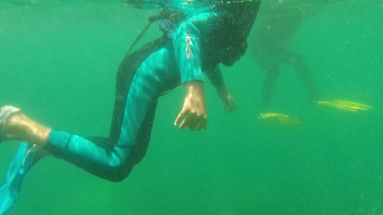 Two partially visible wetsuited divers move near the top of the frame in Cabo Pulmo green water, with fins and arms visible and no recognizable faces.