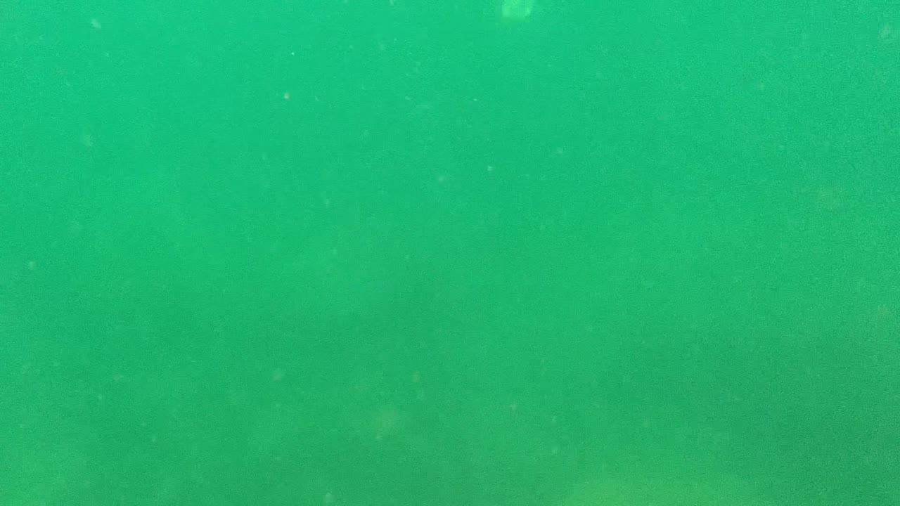 A faint sea lion shape remains in the green Cabo Pulmo water, partly obscured by haze and distance, with no visible people in the frame.