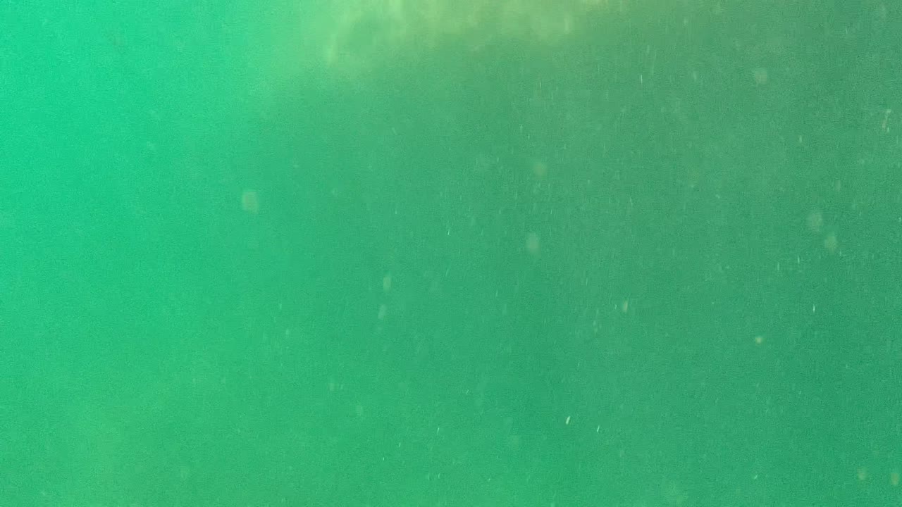 Green underwater view in Cabo Pulmo with faint rocky texture near the top of frame, suspended particles throughout the water, and no visible people.