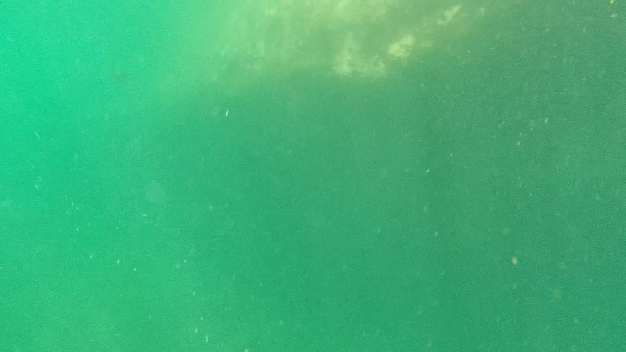 Green water with cloudy light and suspended particles.