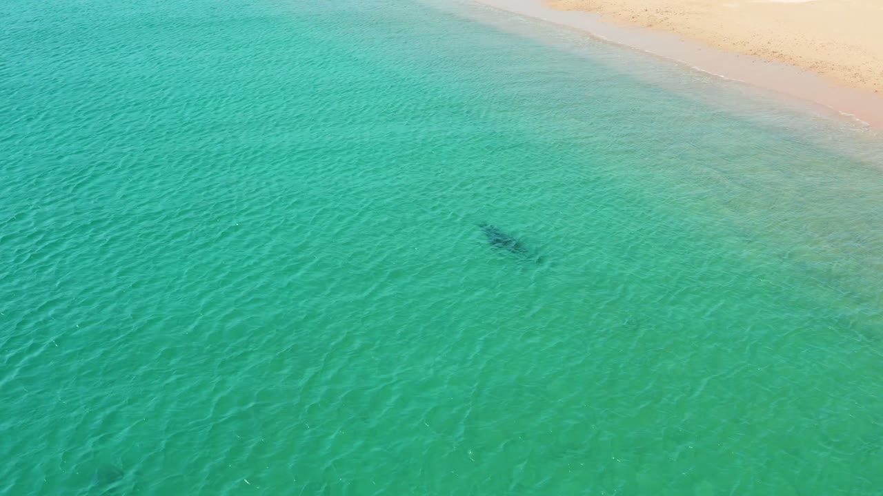 A distant swimmer appears in clear turquoise water near the pale sandy shoreline at Los Frailes, Los Cabos, with ripples visible across the shallows.