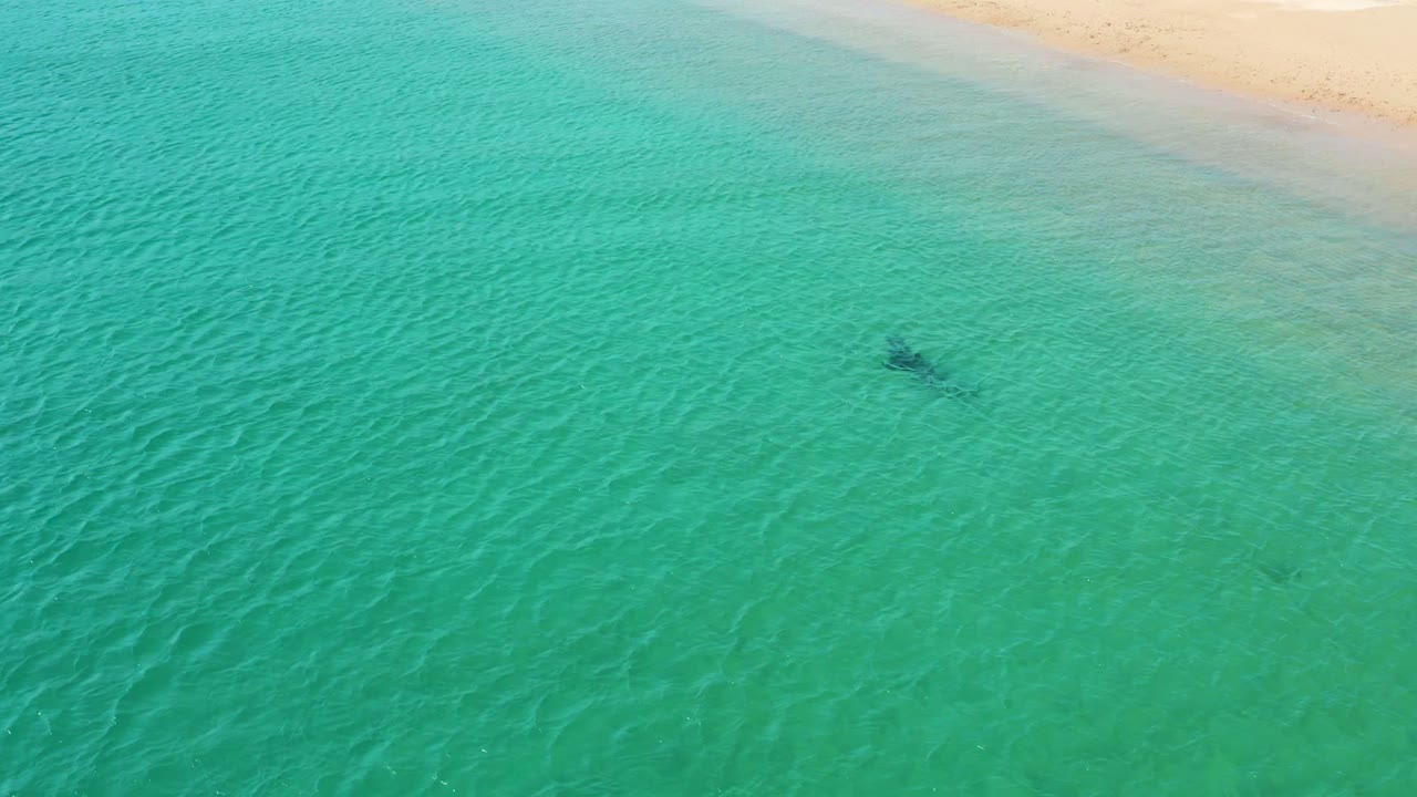 A single swimmer is visible in green-blue ocean water near the Los Frailes shore, with pale sand and a faint breaking wave band at the top.