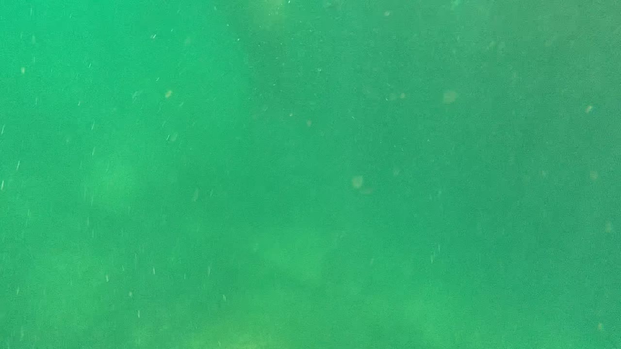 Green underwater water in Cabo Pulmo with suspended particles, soft haze, a faint fish form near the left side, and no visible people.